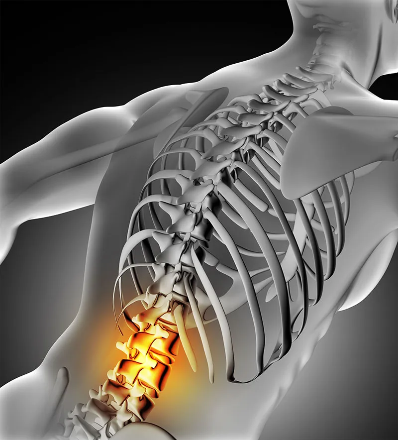 What-to-expect-back-graphic